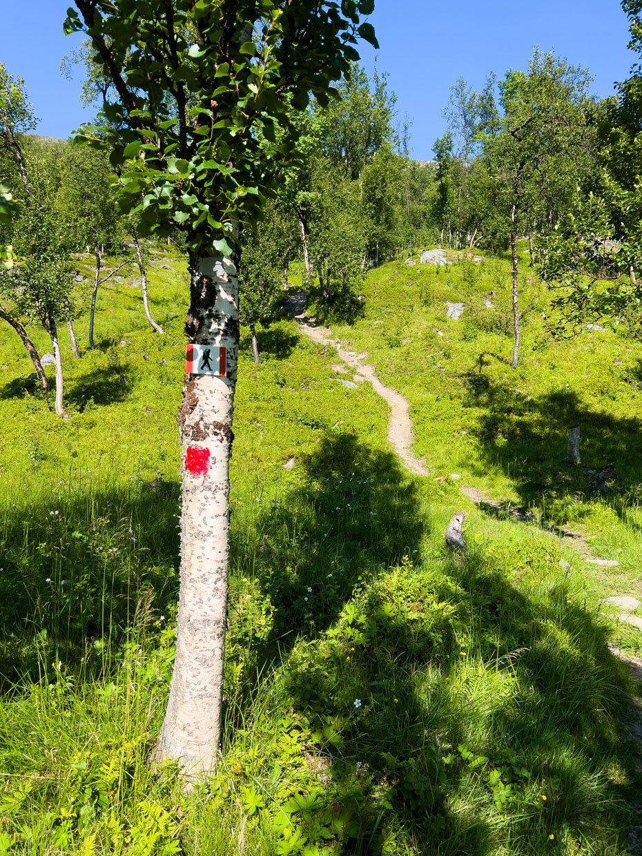 Lundefjellet
