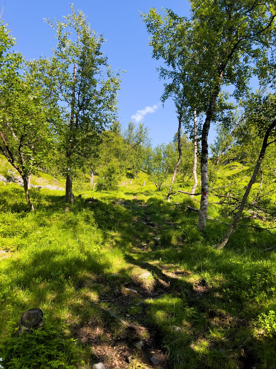 Lundefjellet