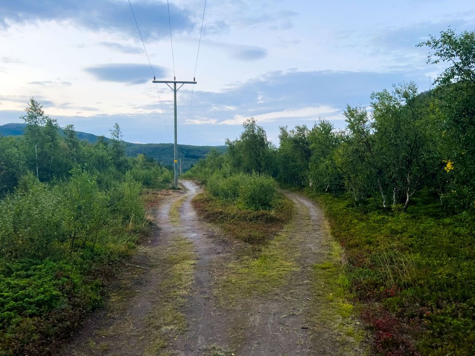 Kvennes