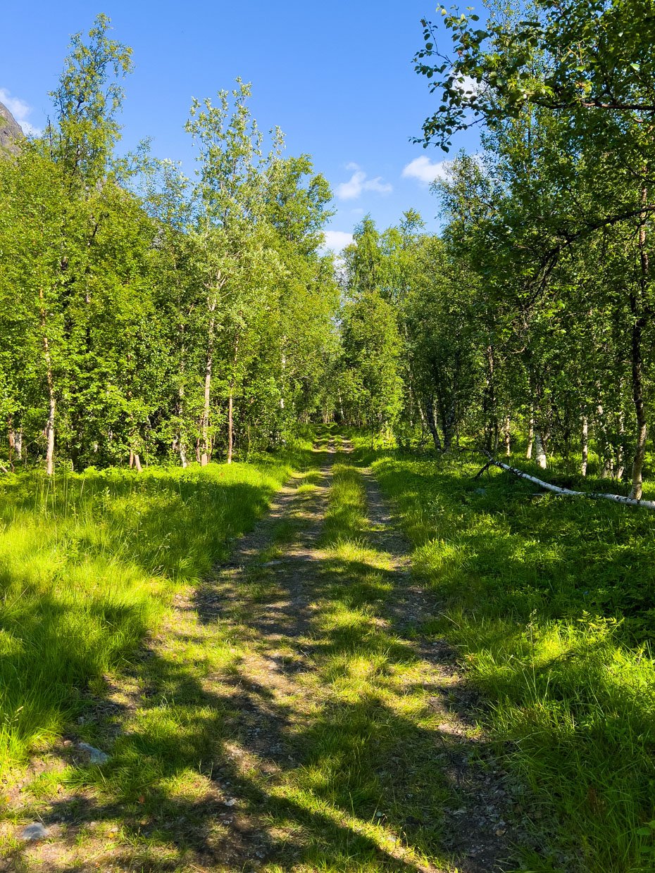 Moskodalen