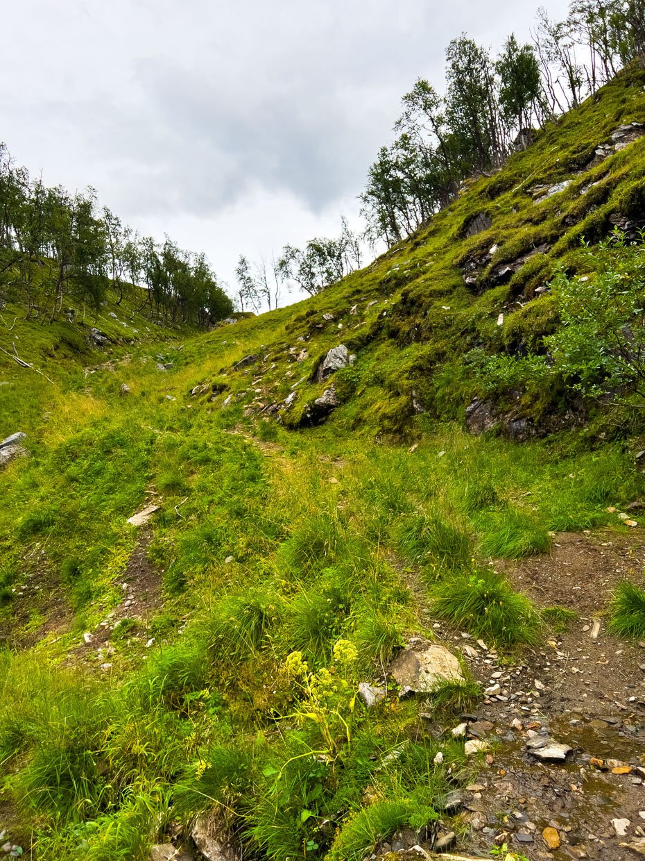 Riehppegáisá