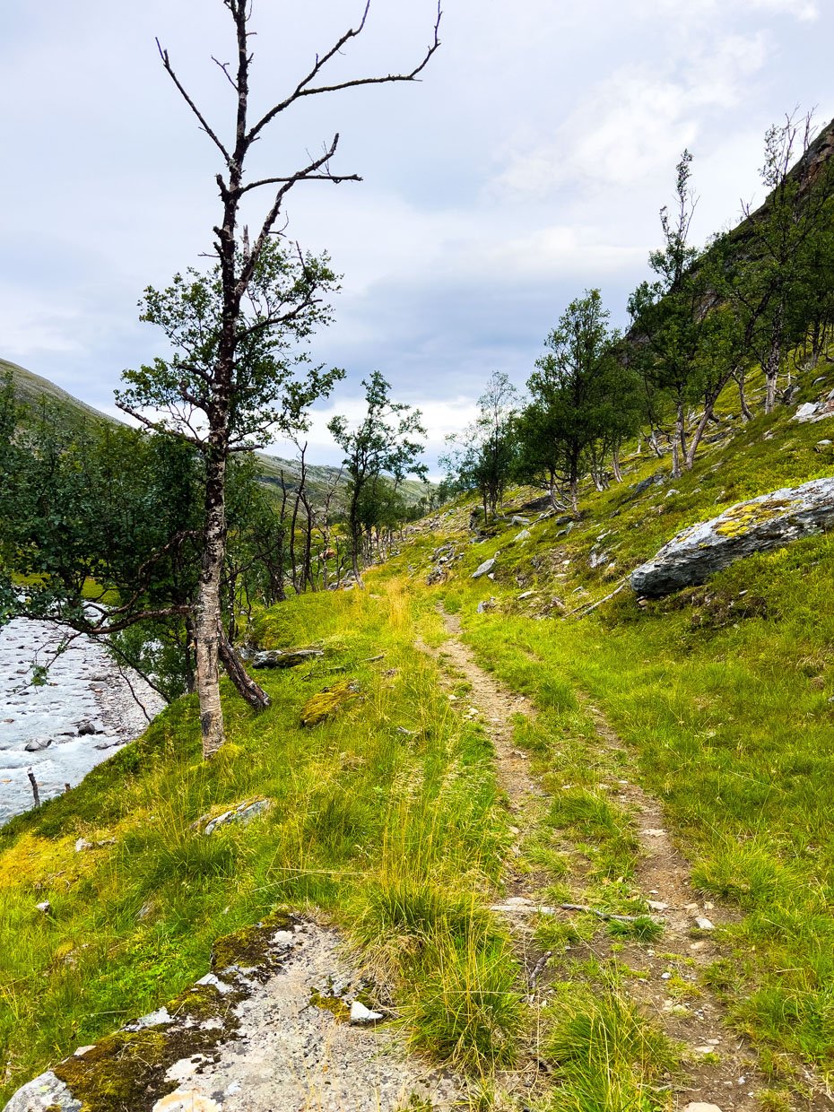 Riehppegáisá