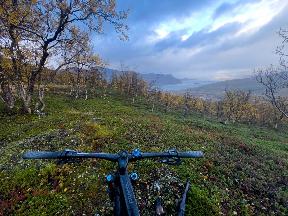 Sokkelvika