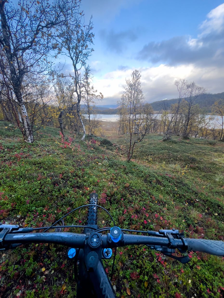Sokkelvika