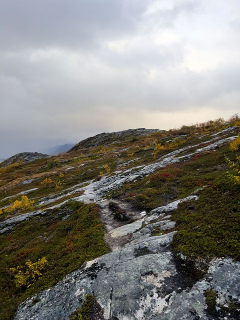 Sokkelvika