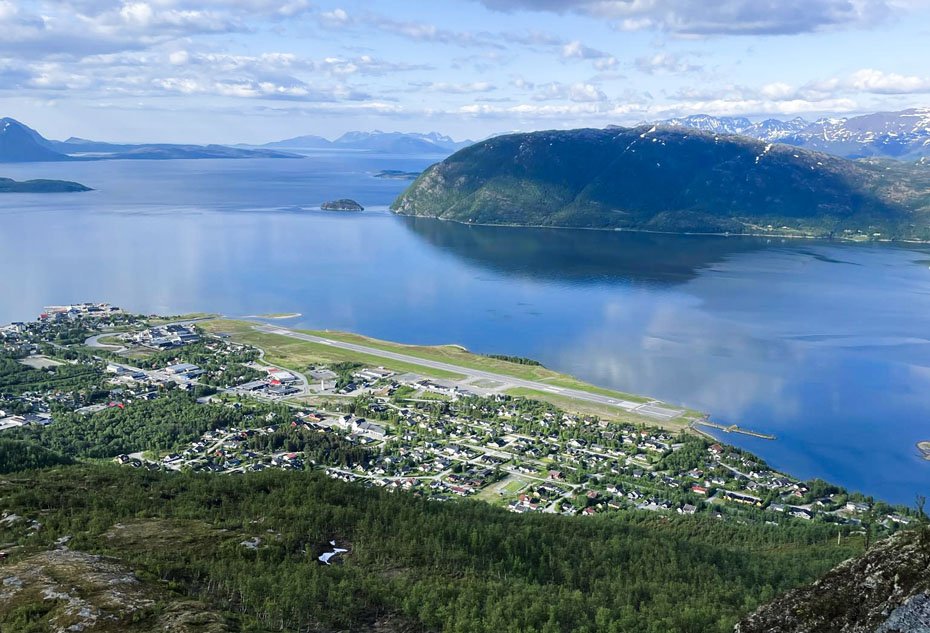 Truisku