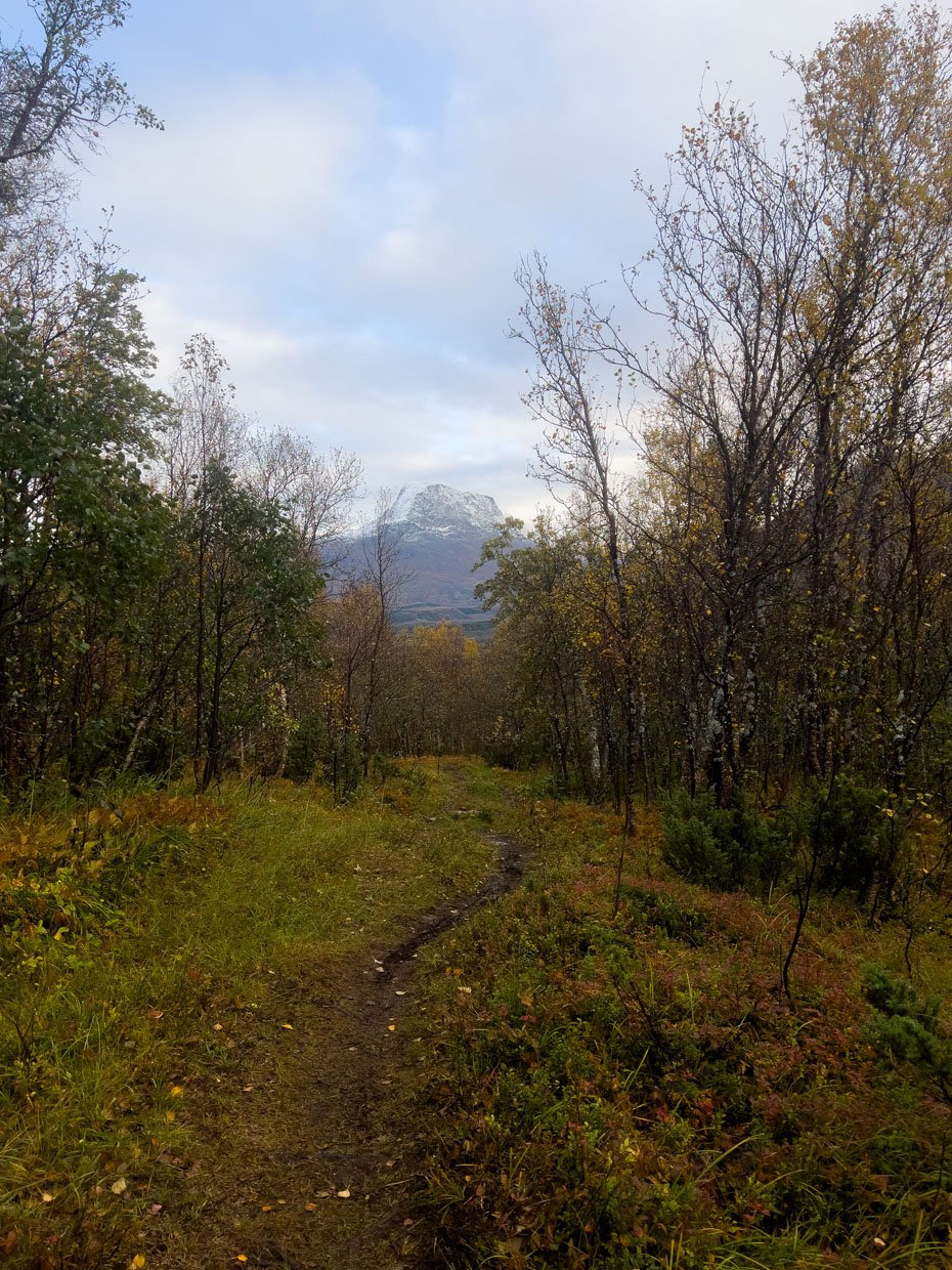 Utsikten