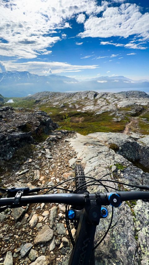 Báiskitvarden