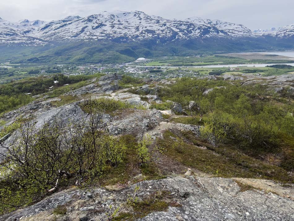 Báiskitvarden