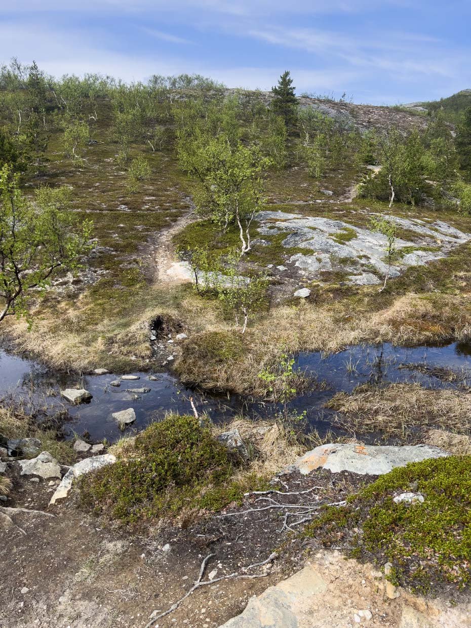Báiskitvarden