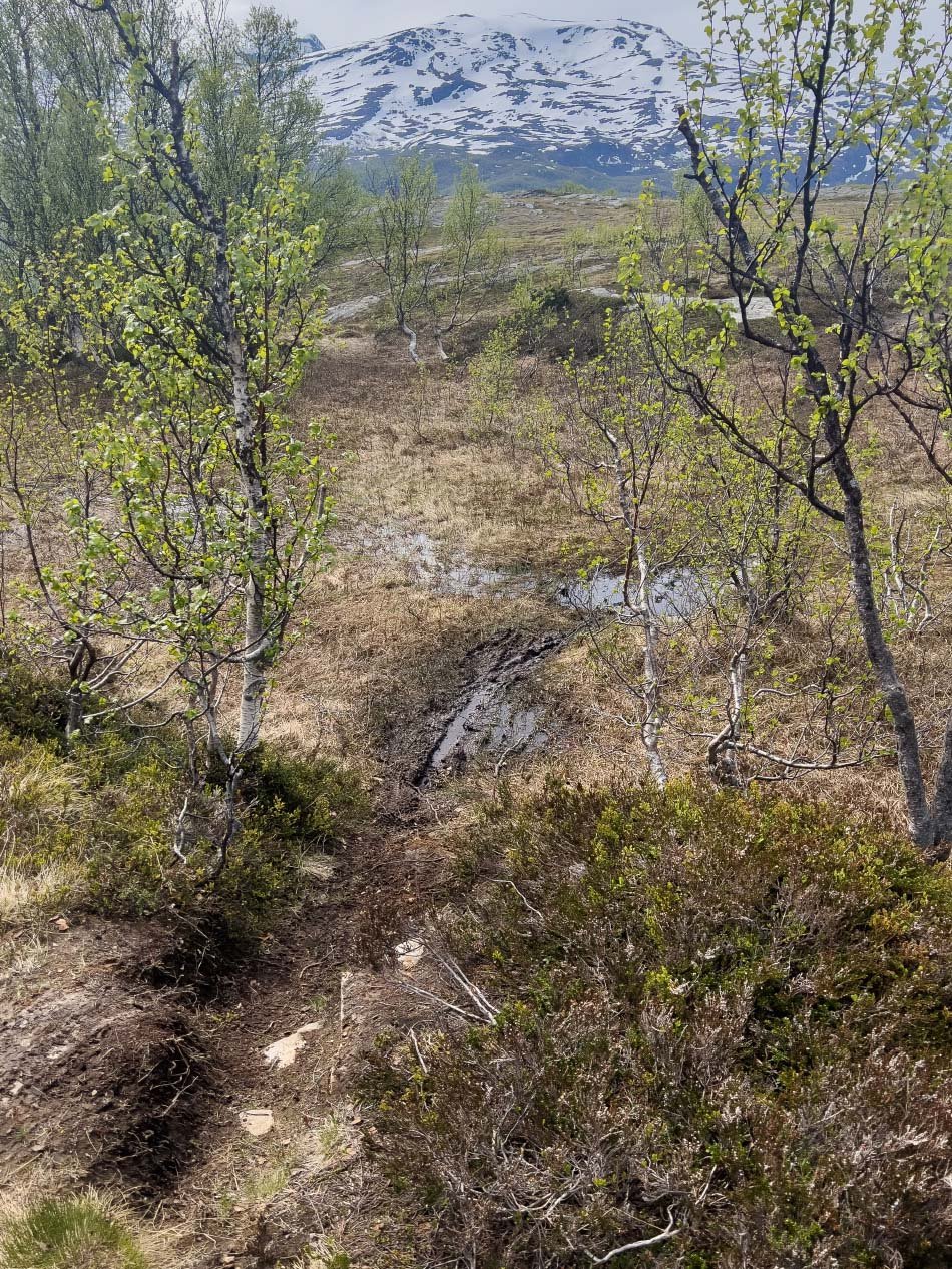 Báiskitvarden