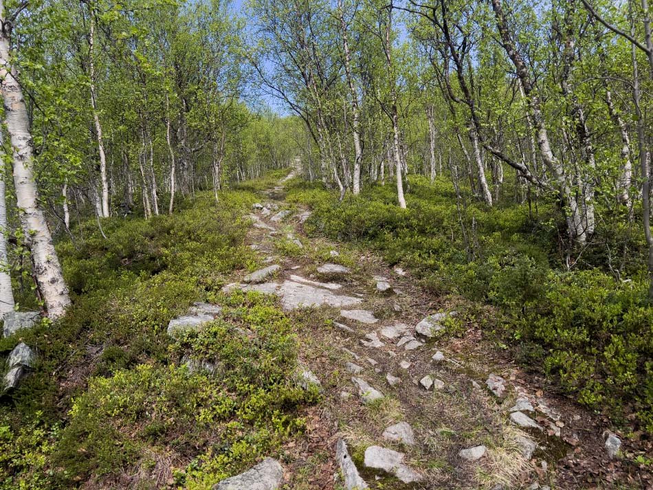 Báiskitvarden