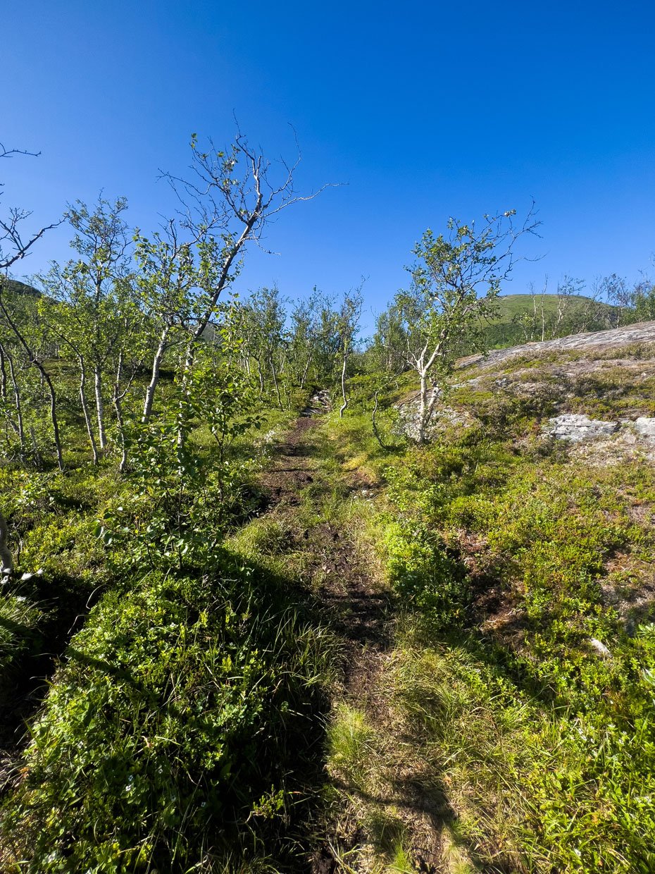 Gjøvarden